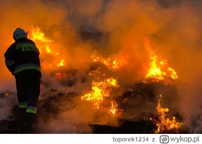 toporek1234 - Wyobrażacie sobie jakby były pożary lasów i pobliska społeczność przysz...