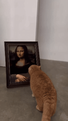 jestemtakizmeczony - #smiesznekotki 🧵 Spis treści:
- Miauna Lisa;
- Na miejsca, koto...