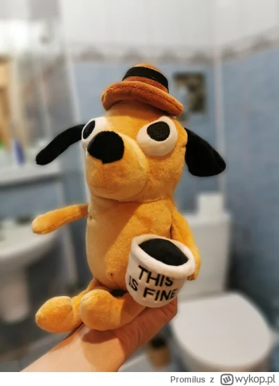 Promilus - Jutro startujemy z generalnym remontem łazienki w wielkiej płycie. Wybrali...