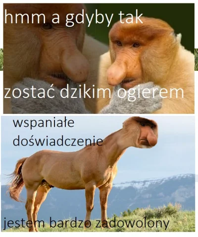 Kotouak - #konkursnanajbardziejgownianymemznosaczem