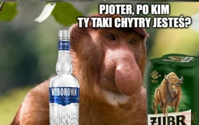 ThinkBackwards - @Malpka-Bananowka: A po co ci ta woda?