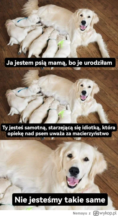 Nemayu - Jeśli chłop wychowujący obce dziecko to cuckold (oryginalnie to znaczy coś i...