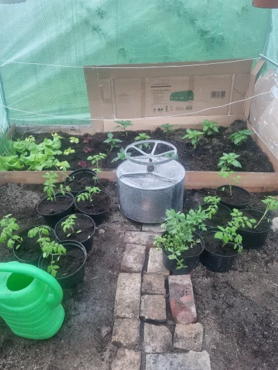 Szemiques - Jutro rano znowu przymrozki, taki patent sobie wymyśliłem do tunelu, w śr...