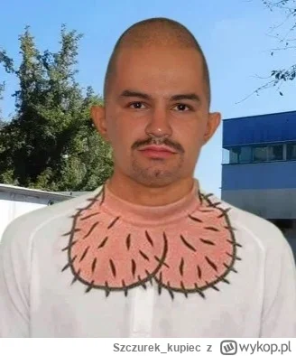 Szczurek_kupiec - #bonzo akat