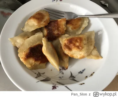 Pan_Slon - Smacznego! Pierogi z patelni ;)

#gotujzwykopem