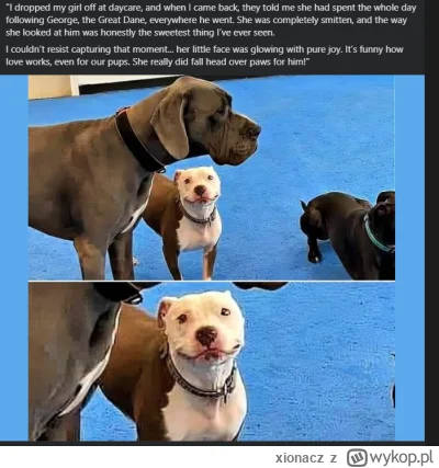 xionacz - Jak widać, problem nie leży tylko u ludzi... ( ͡° ͜ʖ ͡°)
#zwiazki #blackpil...