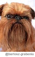 bartosz-grabeniu - @PanWojny: normalnie wygląda ( ͡° ͜ʖ ͡°)