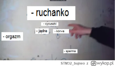 STM32_bujneo - ( ͡° ͜ʖ ͡°)
#wykop #heheszki #moderacjacontent #humorobrazkowy #memy