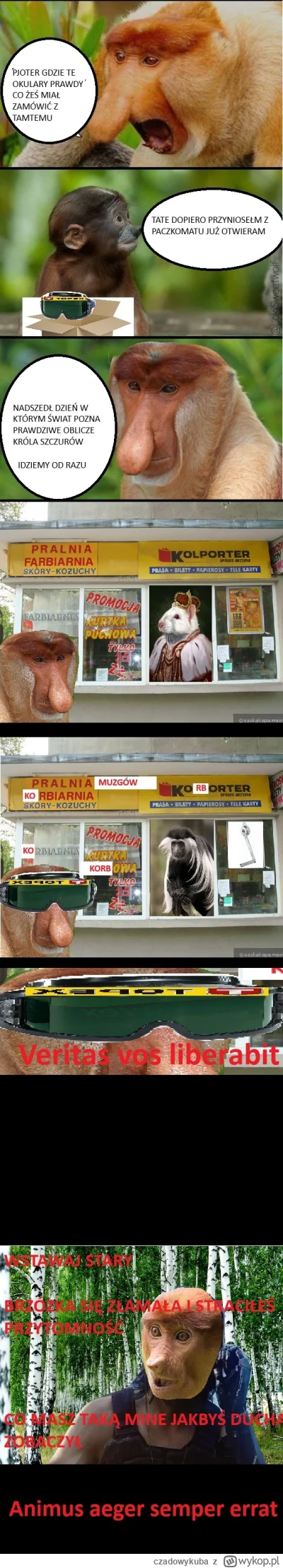 czadowykuba - #konkursnanajbardziejgownianymemznosaczem