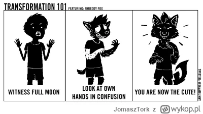 JomaszTork - #furry #futrowpis
(｡◕‿‿◕｡)