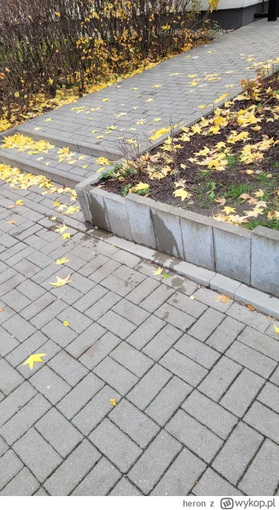 heron - Wyszedłem sobie na spacer i zachciało mi się lać. Przecież nie będę specjalni...