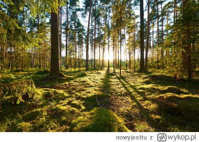 n.....u - Las Las Las