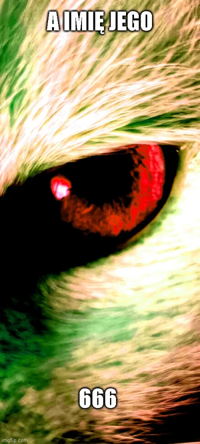 TobiaszSuchy - @michal-skrzypik: