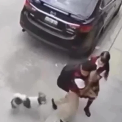 kopytko1234 - #psiarze #psy