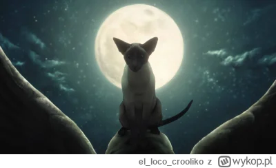 ellococrooliko - @Afrobiker: i o to chodzi, tak właśnie ma być