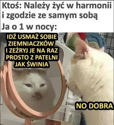 RitmoXL - @pekas: ( ͡~ ͜ʖ ͡°) Dobry