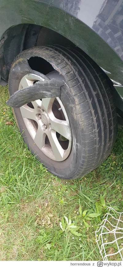 horrendous - Hej Mirki ostatnio delikatnie zahaczyłem o slupa i plot, dużo może koszt...