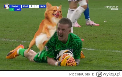 PiccoloColo - A pies cię j---ł pigfoooort

#mecz