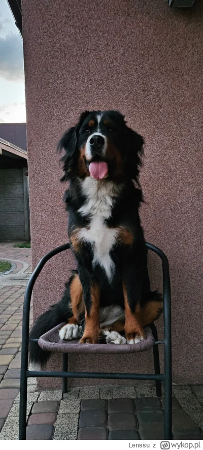 Lenssu - Luna mówi, że można