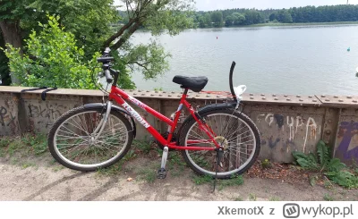 XkemotX - #rowery #rower Pierwsza wyprawa do lasu od kilku lat na złomie i musiałem w...
