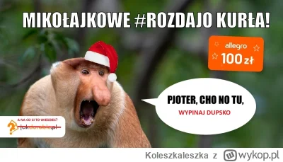 Koleszkaleszka - @JakDorobic_com: