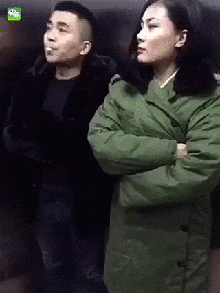 wfyokyga - Ale j---a hahaxd