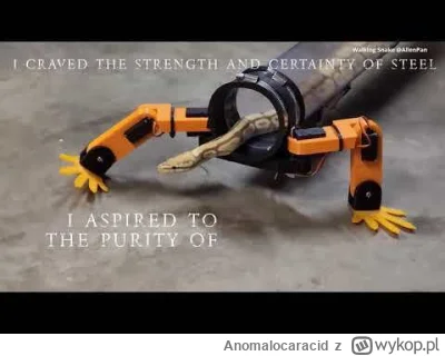 Anomalocaracid - Pozdrówka dla uczących się chońskiego #pdk #chiny #jezykchinski #heh...