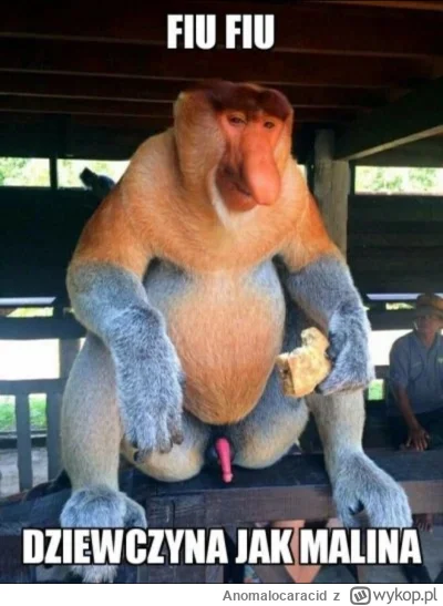 Anomalocaracid - @Roger_Sososky1: