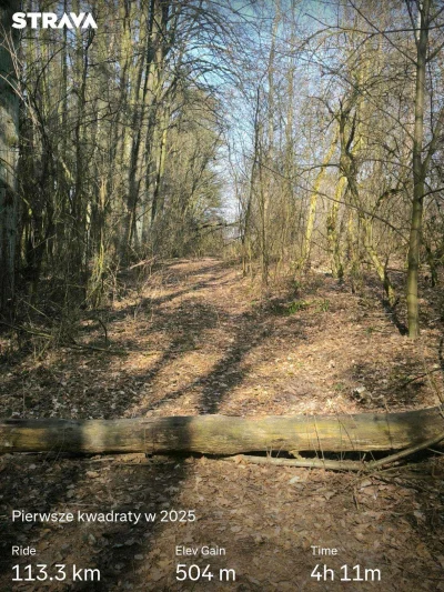 Kargeth - 30 176 + 113 = 30 289

Brakowało mi jazd po kwadraty, ujebów może jakoś duż...