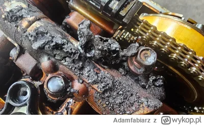 Adamfabiarz - Wygląd silnika z olejem zmienianym co 13 000 - 14 500 km. Katastrofa.

...