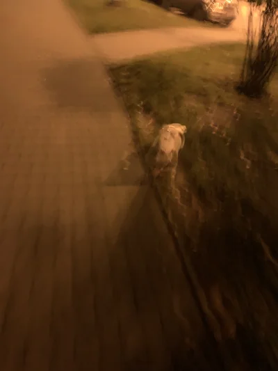 Konon_owicz - @ChlopoRobotnik2137 zgadza se