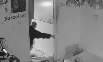 spreparowany - #danielmagical #raszei #patostreamy