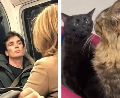 jestemtakizmeczony - taka sama 'energia' na obu zdjęciach xD