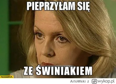 ArtoWski - @fioletowy_czlowiek: #thebestofmirko