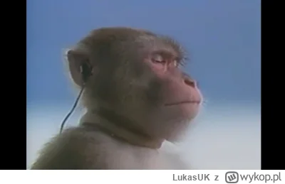 LukasUK - @MarcinE45: