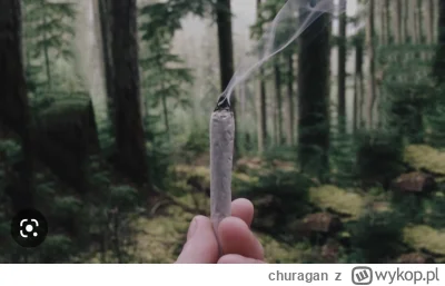 churagan - @TypowyXD rolowanie w lesie xD