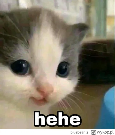 plusbear - @Janek_dzbanek: