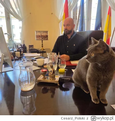 Cesarz_Polski - #kotekwrocek #wroclaw