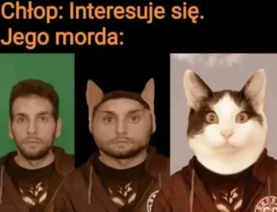 paczelok - Aktywacja klimatyzacji udana #paczekot