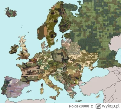 Poldek0000 - #mapporn 
ponoć jest tam mapa europy ale ja widzę tylko wodę