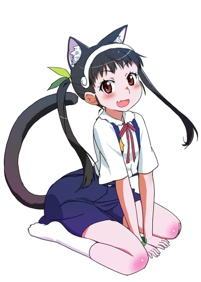 LatajacaPapryka512 - #mayoihachikuji #monogatari #randomanimeshit #anime