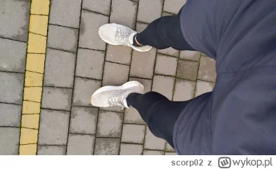 scorp02 - @scorp02: Gdyby Kinvary były grubasami 