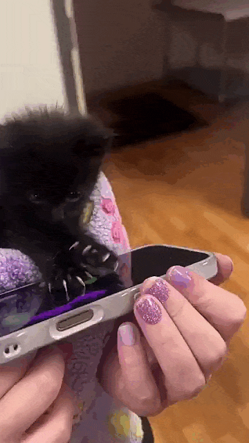 jestemtakizmeczony - @jestemtakizmeczony: