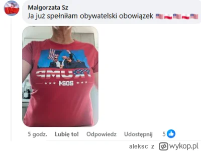 aleksc - Przeglądając na facebooku grupy polonijne w USA, niestety muszę stwierdzić, ...