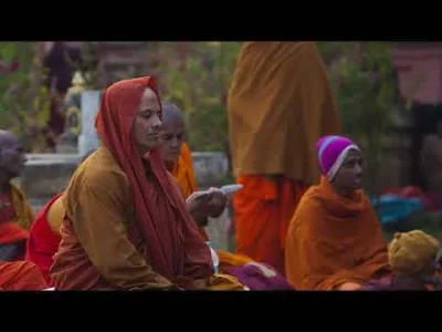 freedomseeker - => https://www.fundacjadrzewobodhi.pl/inauguracja-rezydencji-sa%e1%b9...