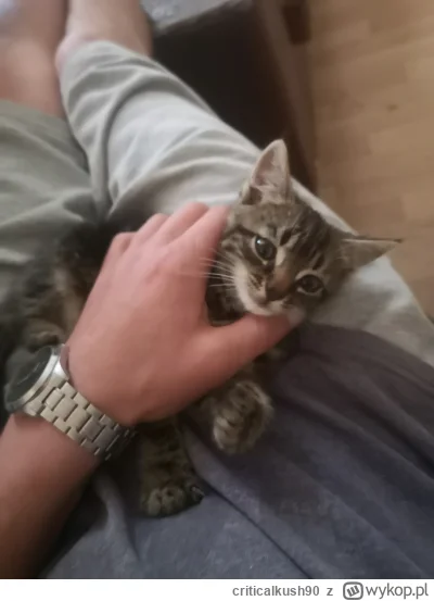 criticalkush90 - @criticalkush90: