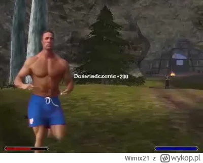 Wimix21 - #gothic
Super jest być gejem i grać w gothica.
Tylko osoba która jest homo...