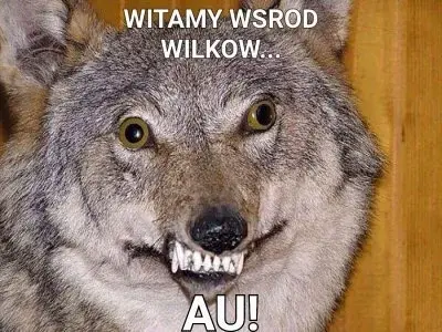 gabapentyn - @Sinti: “zobaczysz co się teraz będzie działo” XDDDDDD