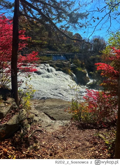 R2D2zSosnowca - @R2D2zSosnowca zwiedzanie zaczęliśmy od Great Falls na Housatonic Riv...