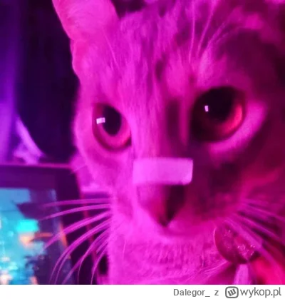 Dalegor - @ImperatorWladek: